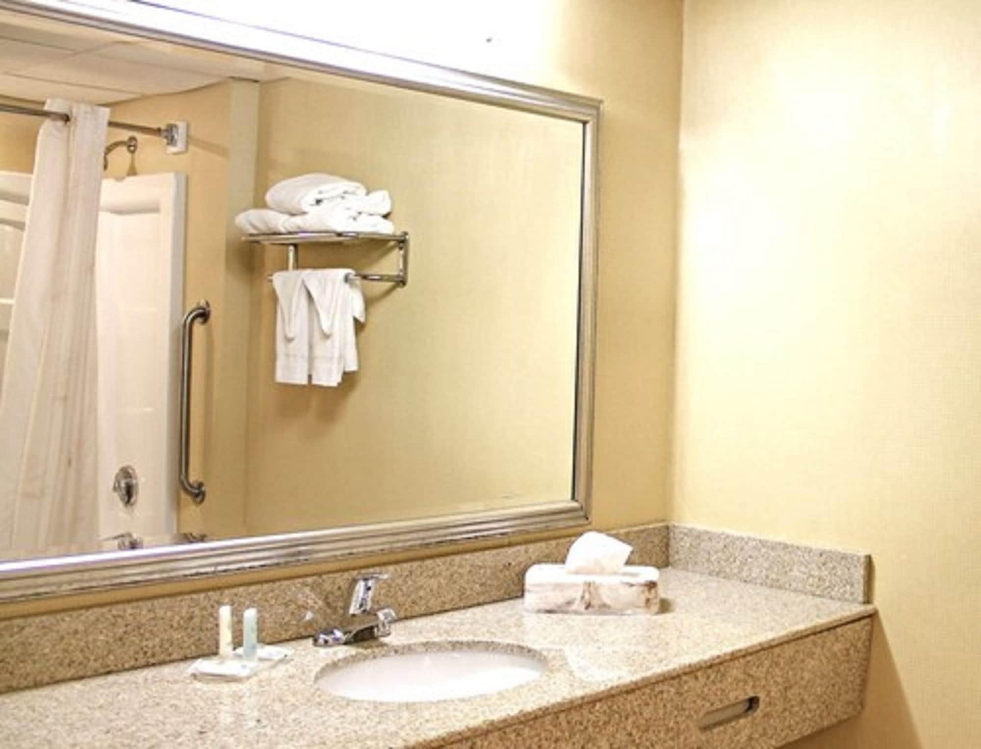 Comfort Inn & Suites Syracuse-Carrier Circle East Syracuse Εξωτερικό φωτογραφία