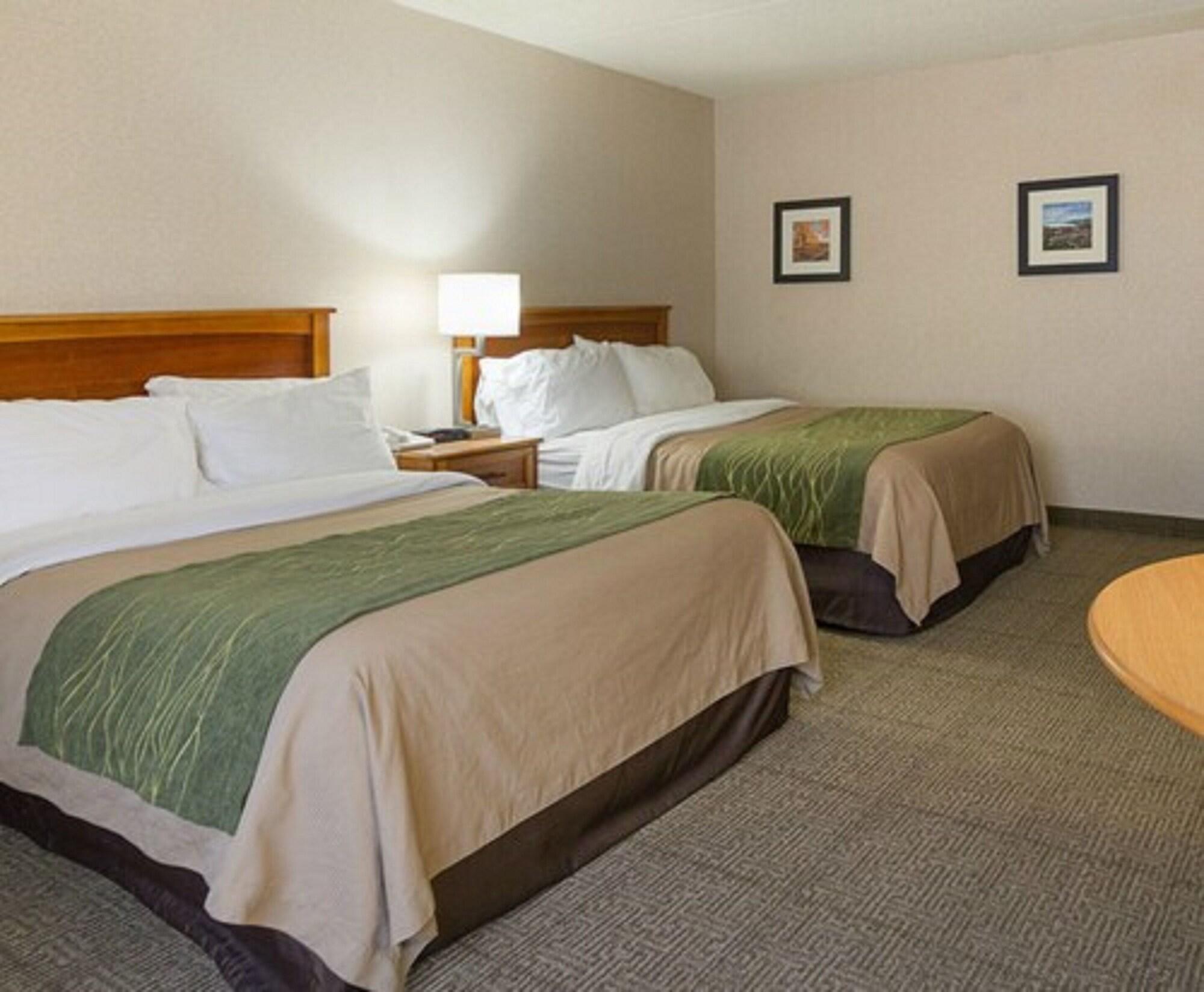 Comfort Inn & Suites Syracuse-Carrier Circle East Syracuse Εξωτερικό φωτογραφία