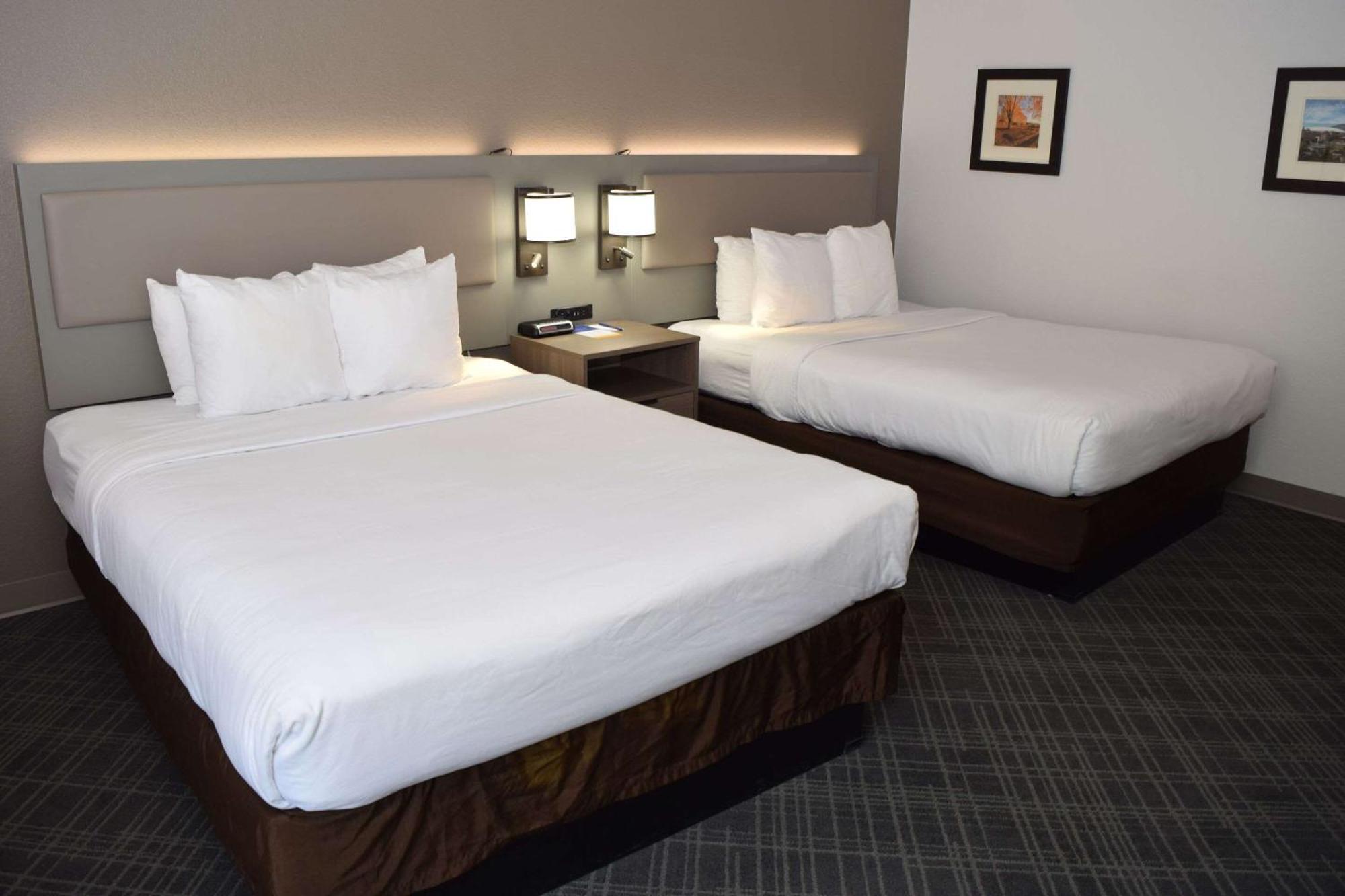 Comfort Inn & Suites Syracuse-Carrier Circle East Syracuse Εξωτερικό φωτογραφία