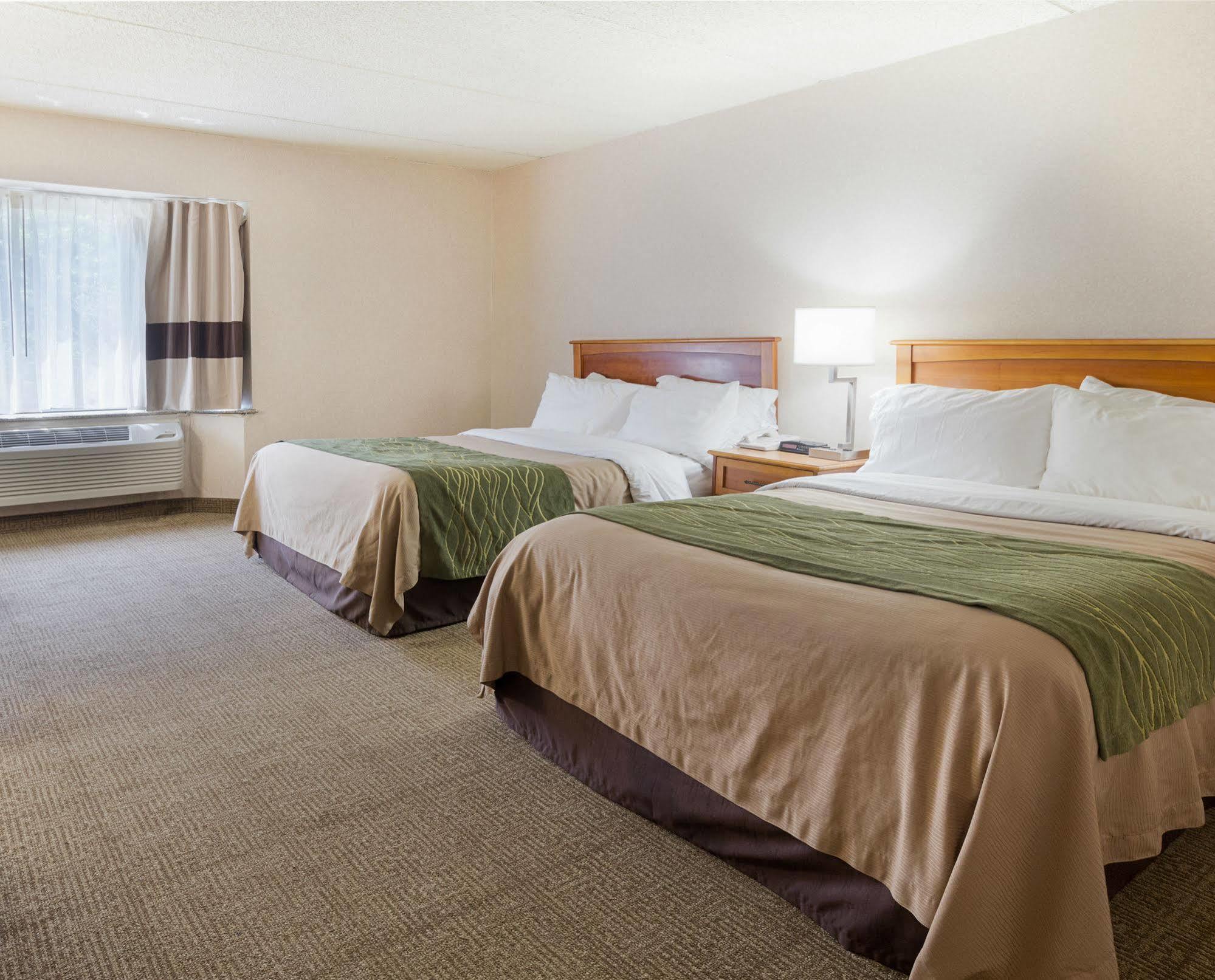 Comfort Inn & Suites Syracuse-Carrier Circle East Syracuse Εξωτερικό φωτογραφία
